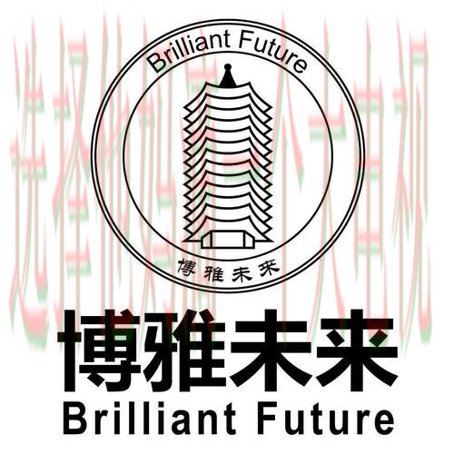 博雅娱乐科技控股发展前景解析