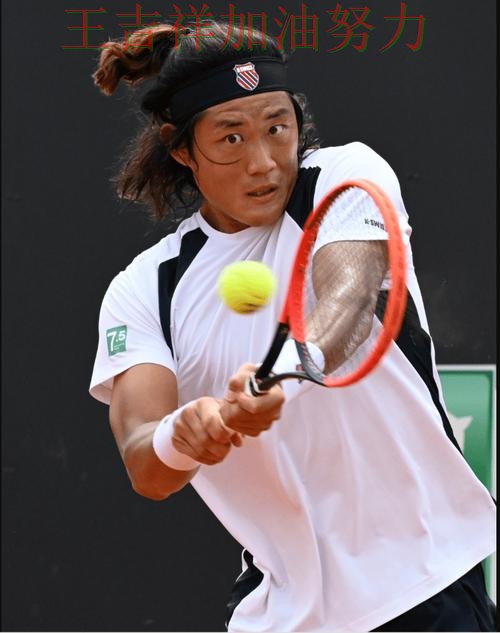 张之臻最新动态引发关注 积分榜形势更加明朗 张之臻最新动态引发关注 积分榜形势更加明朗